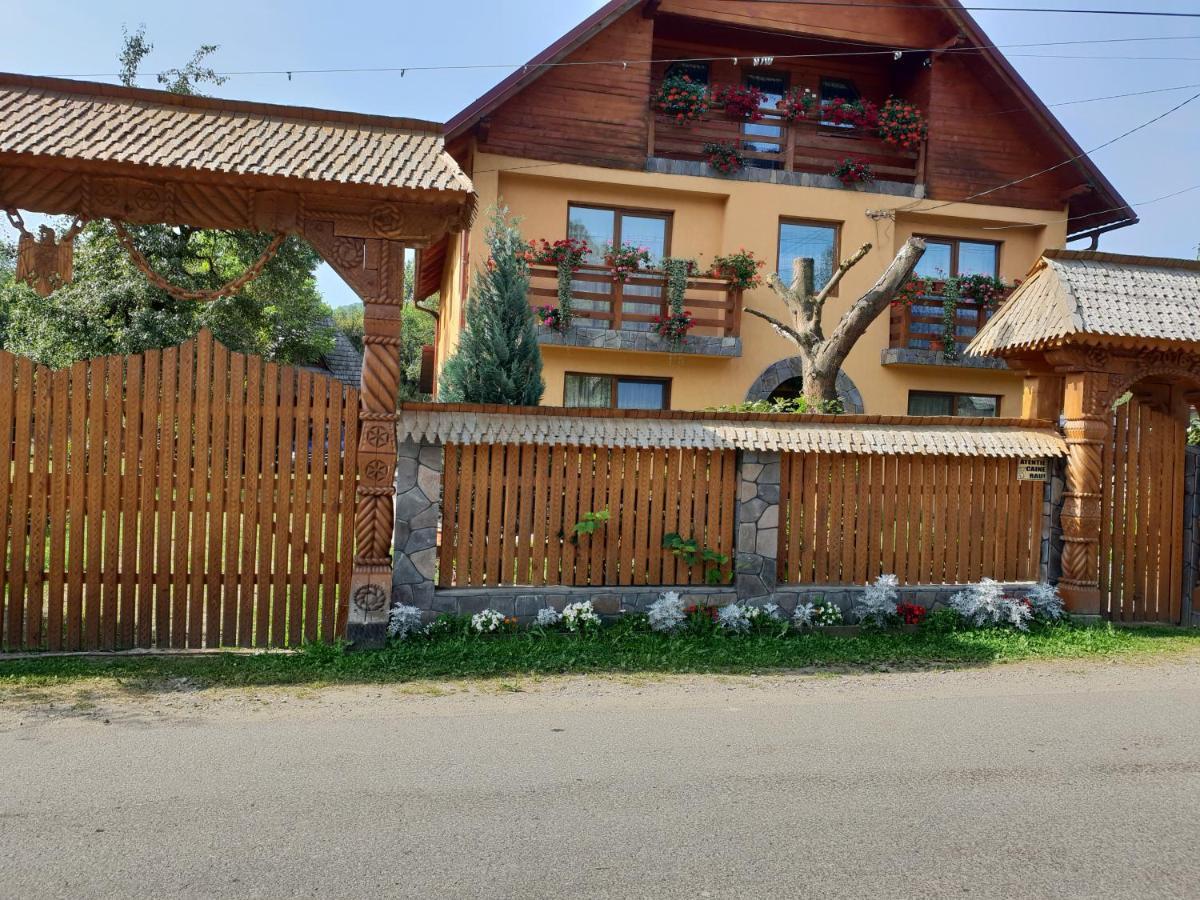 Pensiunea Ancuta Din Botiza Exteriör bild