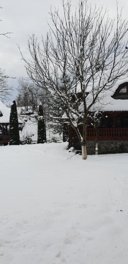 Pensiunea Ancuta Din Botiza Exteriör bild